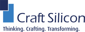 Craft silicon